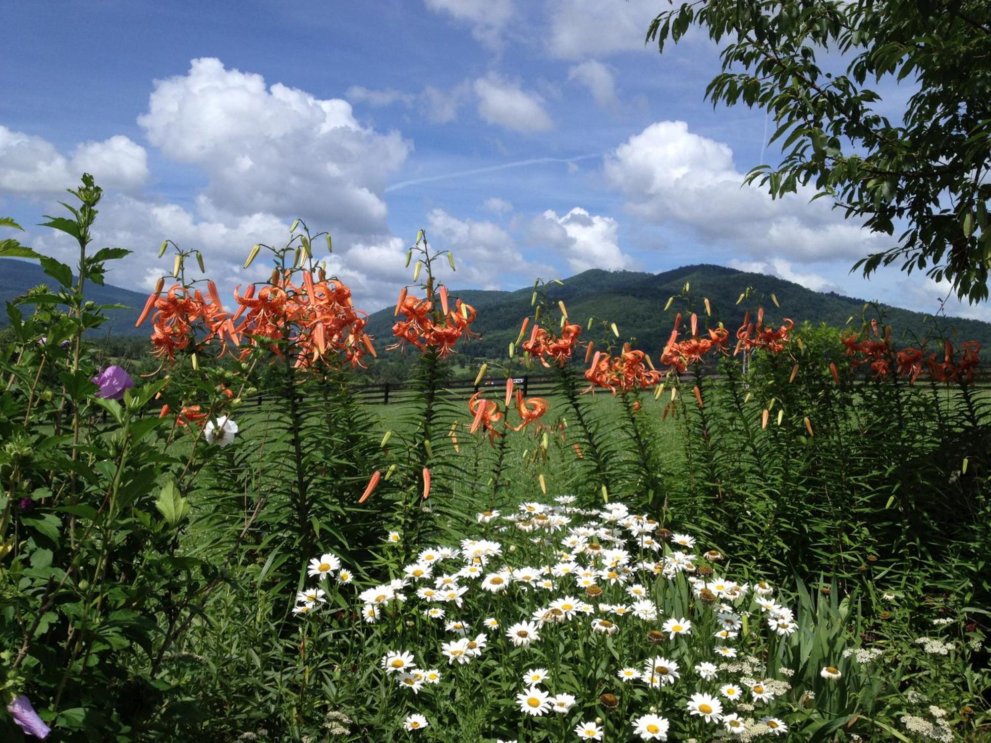 Crozet Montfair Resort Farm מראה חיצוני תמונה