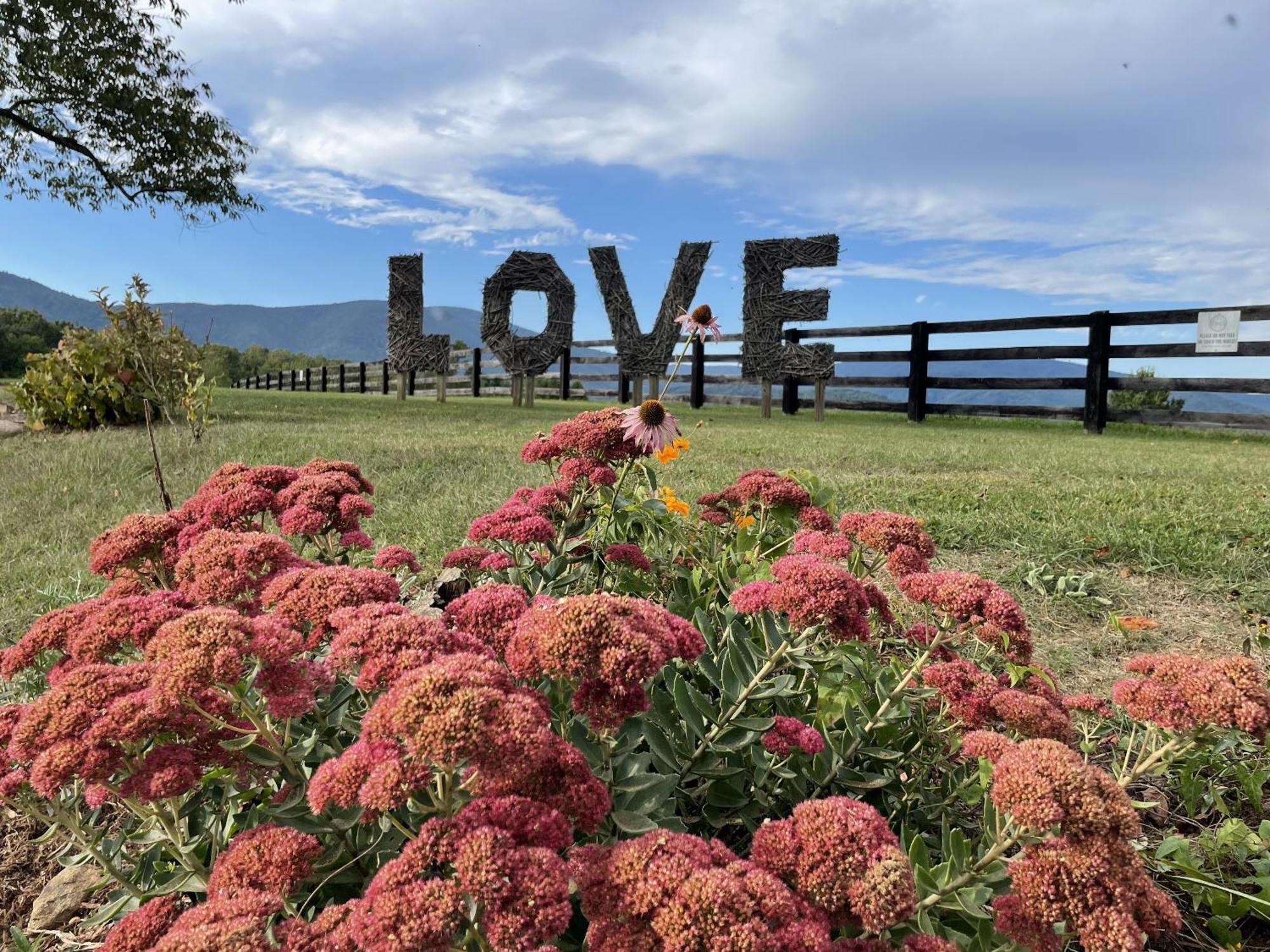 Crozet Montfair Resort Farm חדר תמונה